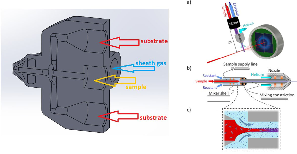 [Fig6]