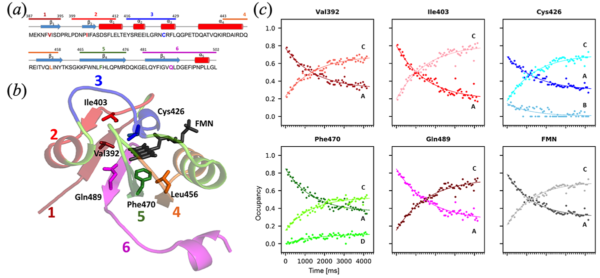 [Fig. 2]