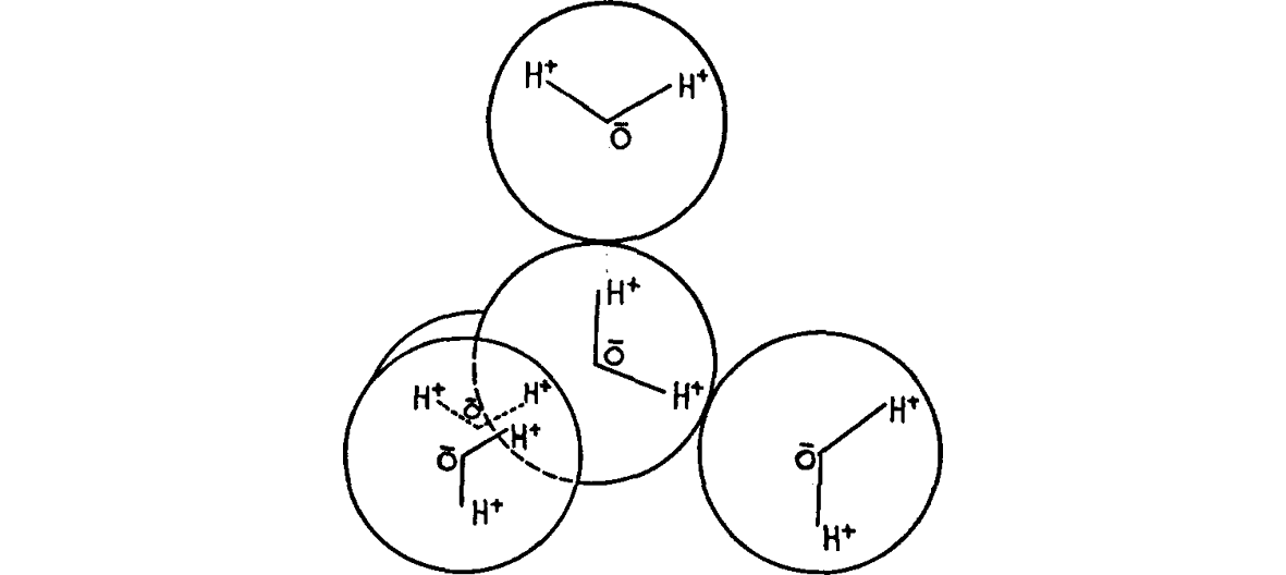 [Figure5]