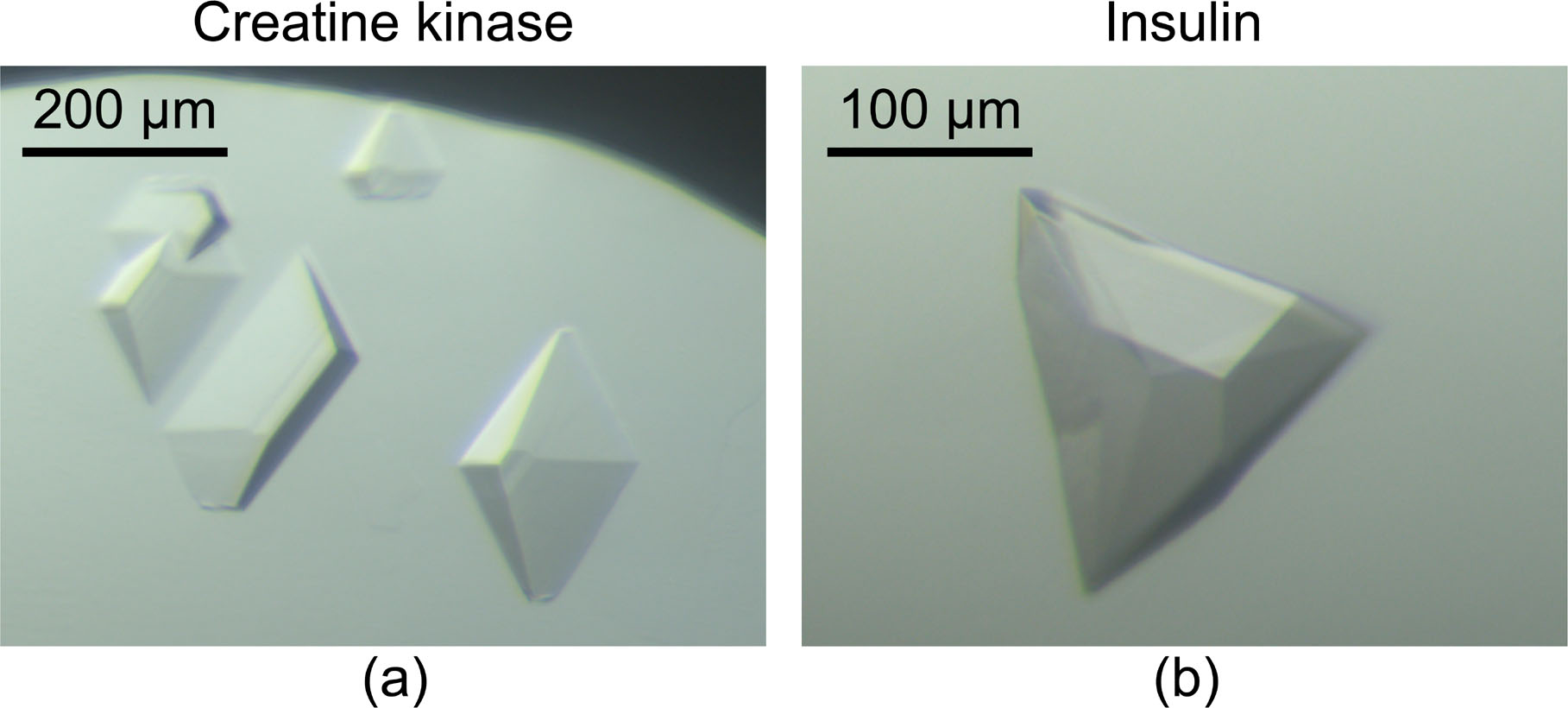 [Fig3]