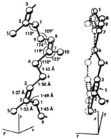 [Structure of rubber, 1954]