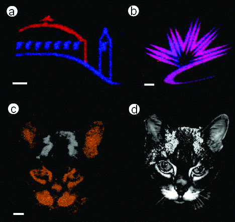 [X-ray polymer patterning]