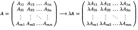 \( \mbox{\textit{\textbf{A}}} = \left( \hspace{-0.2em} \begin{array}{c@{\hspace{... ... \lambda A_{m2} & \ldots & \lambda A_{mn} \end{array} \hspace{-0.2em}\right) \)