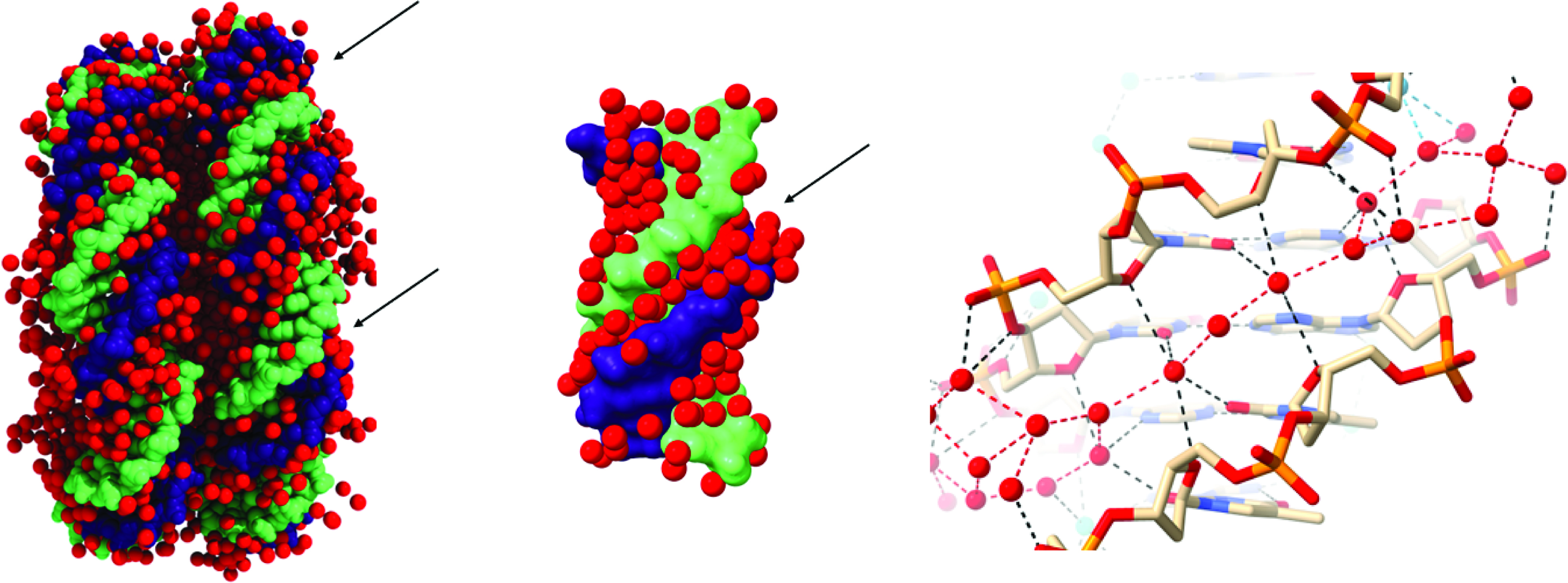 [Figure1]