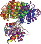 [Uroporphyrinogen III synthase]