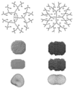 [Dendritic macromolecules]