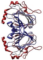 [epimerase Rv3465]