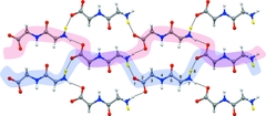 [Hydrogen-bonded dipeptide chains]