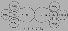 [Nitrogen overlap in a ruthenium complex]