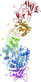 [GTFA structure]