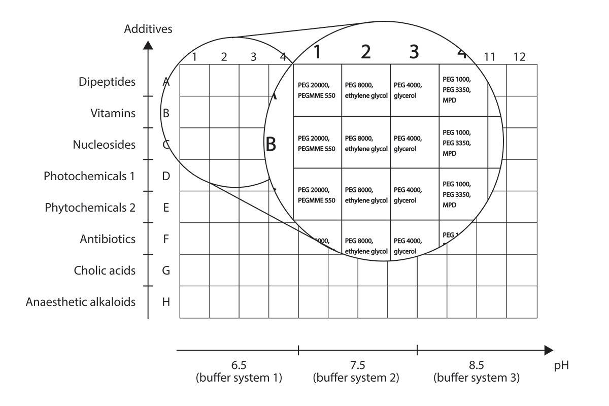 [Morpheus Figure 2]