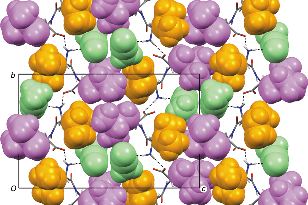 [L-valyl-L-leucine aceto­nitrile solvate]