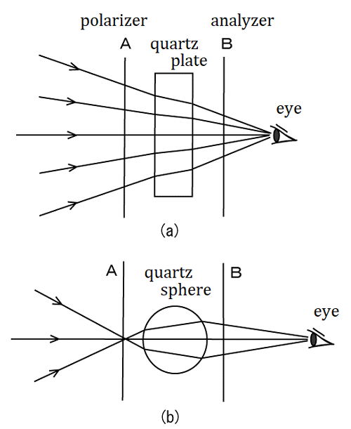 [Shigeru Figure 5]