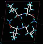 [structure of L-isoleucyl-L-isoleucine]