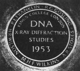 [DNA plaque]