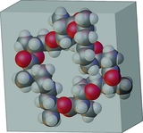 [CPK model of nonactin]