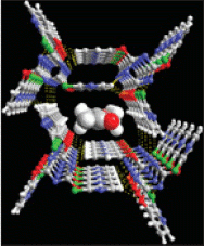 [Nanotube host-guest]