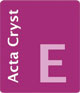 [Acta E logo]