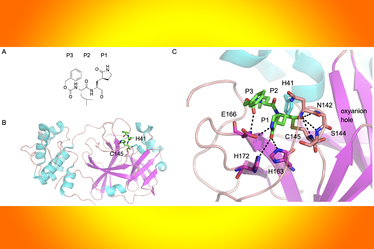 [Fig1]