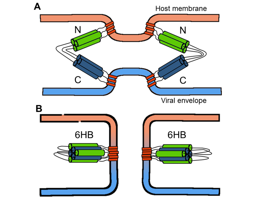 [Figure2]