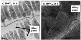 [Conductive pathways]