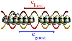 [Urea alkane]