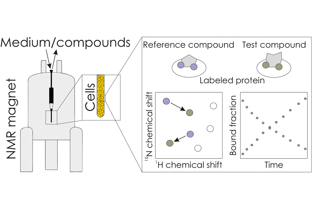 [Fig. 1]