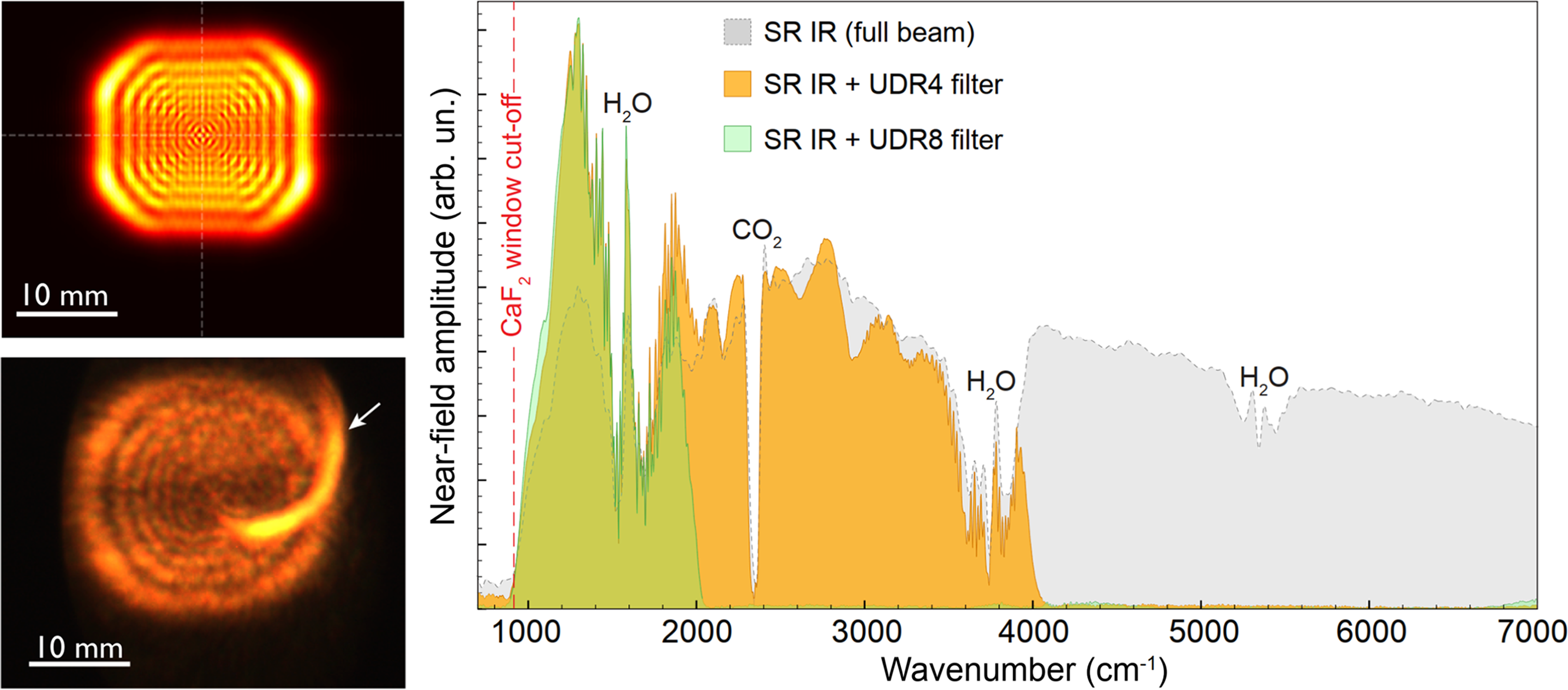 [Figure1]