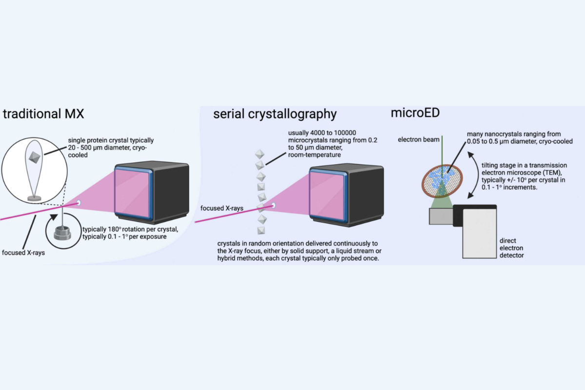 Microcrystals powering modern structure determination