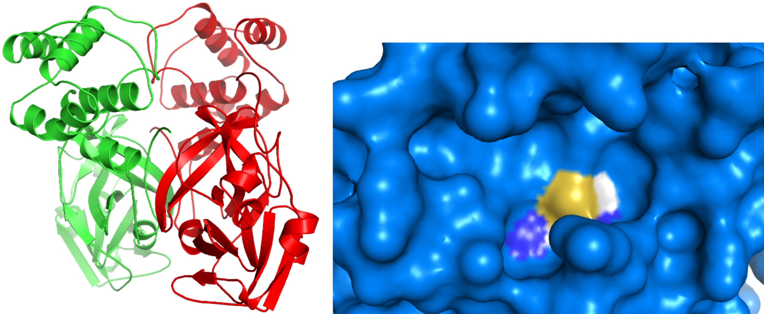 [Figure4]