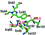 [QYG chromophore]