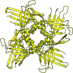 [Protein]