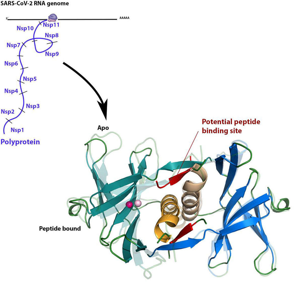 [Fig2]