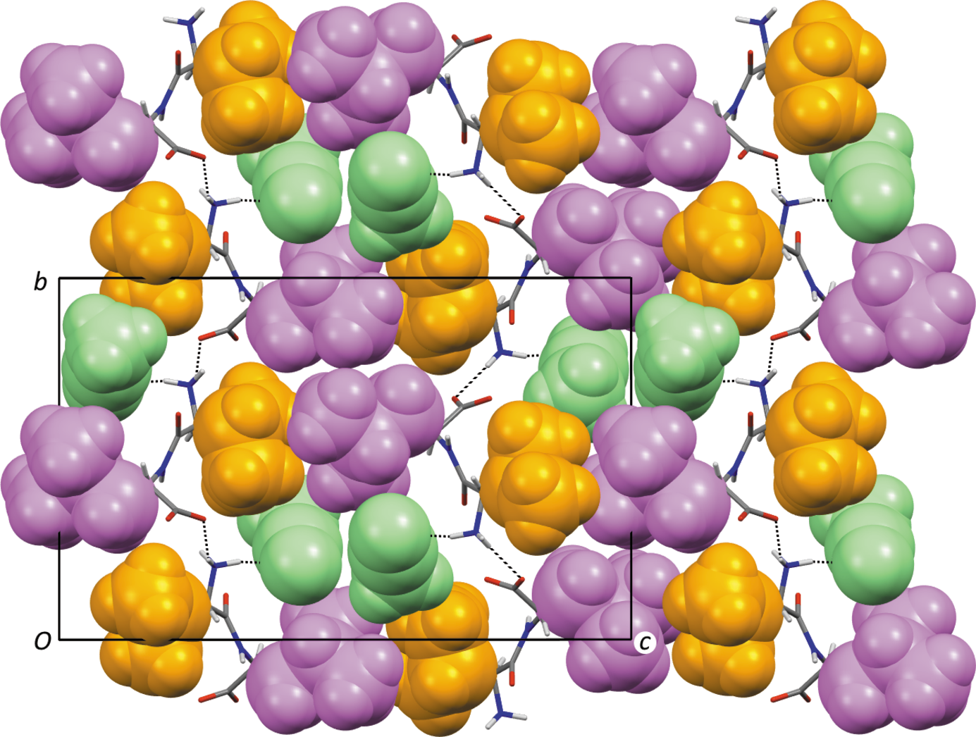 [Hydrophobic dipeptides]