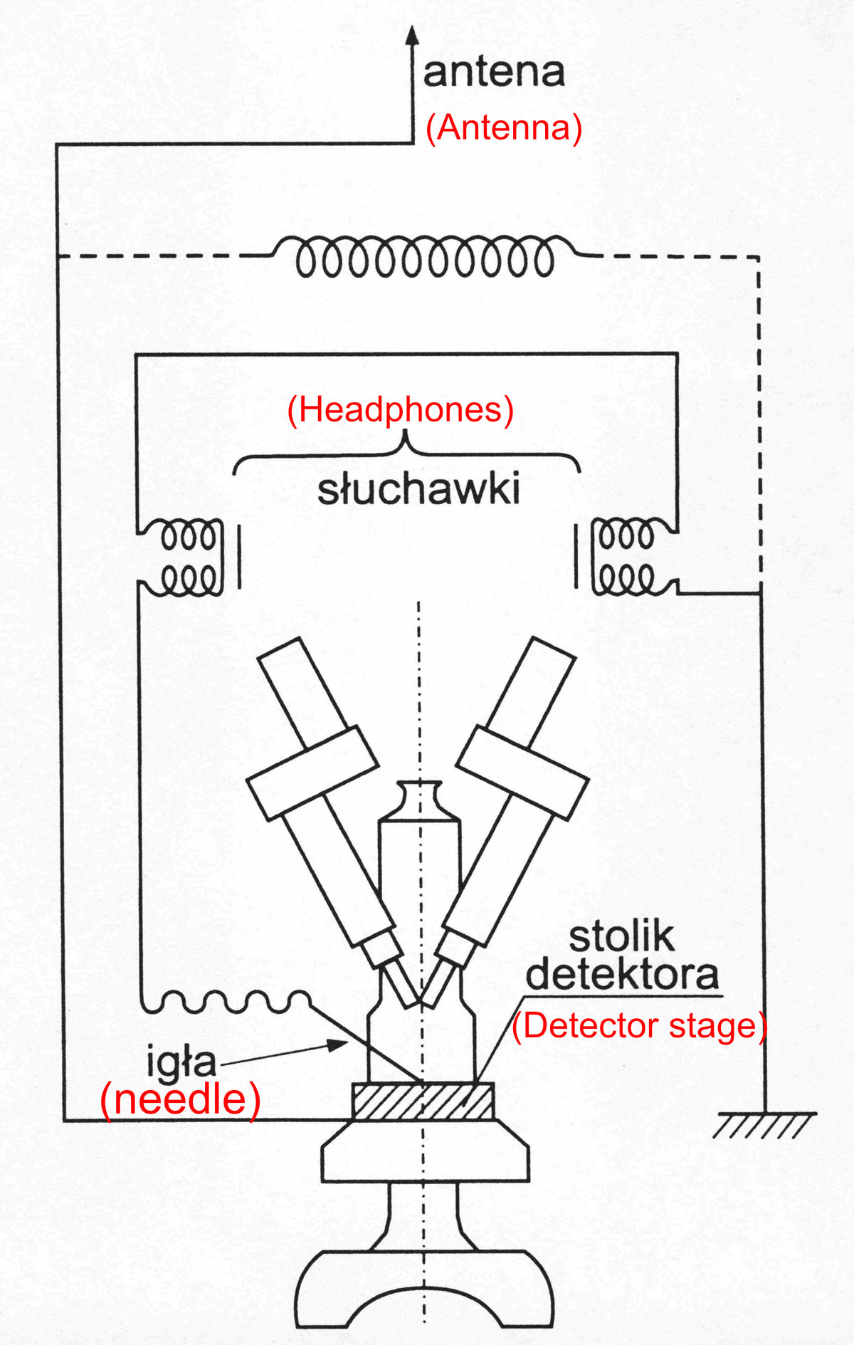 [Figure7]