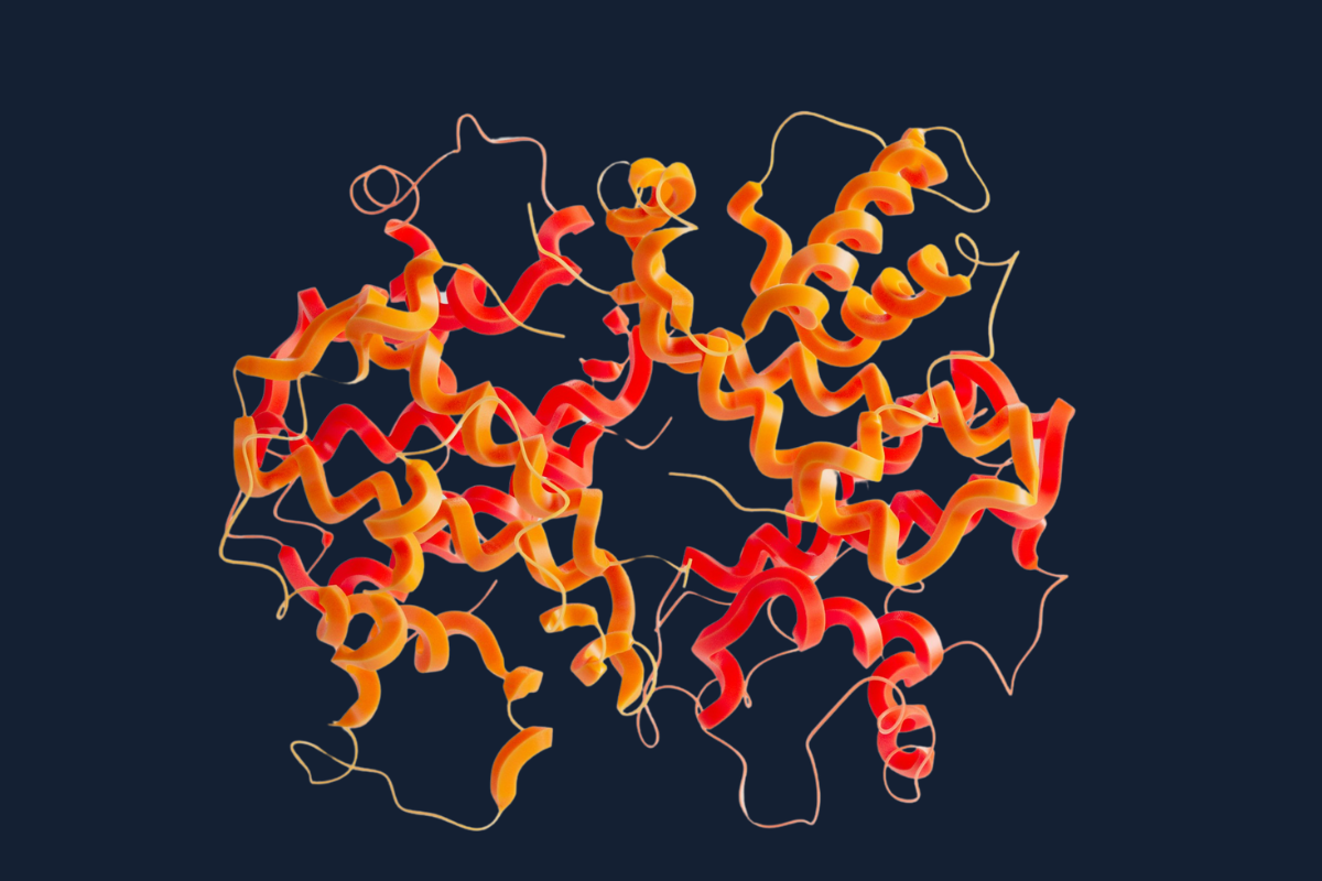 red and orange crystal hemoglobin structure