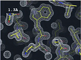 [Proteins and Powders]