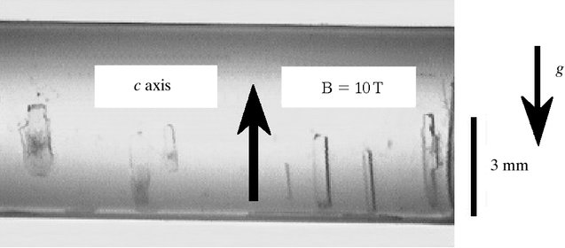 [lysozyme crystals]