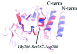 [AmpC beta-lactamase]