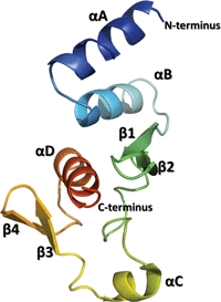 [protein structure]