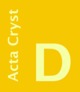 [Acta D logo]