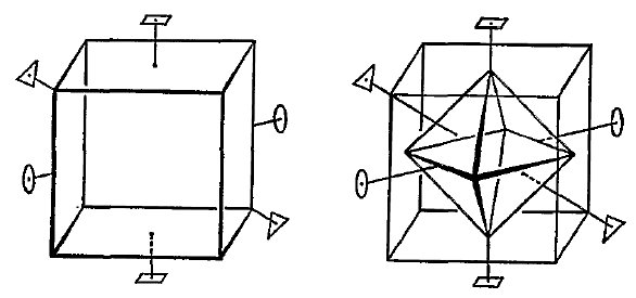 [cube and octahedron]