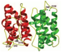 [Crystal structure]