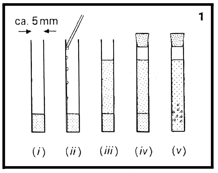 [Fig. 1]