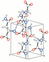 [l-asparagine]