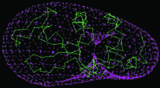 [Lysozyme]