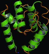 [Odorant-binding protein]