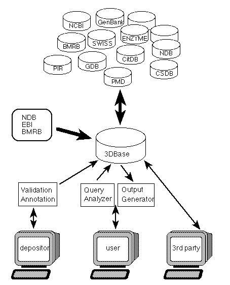 [3DBase relationships]