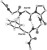 [hydrogen bond]