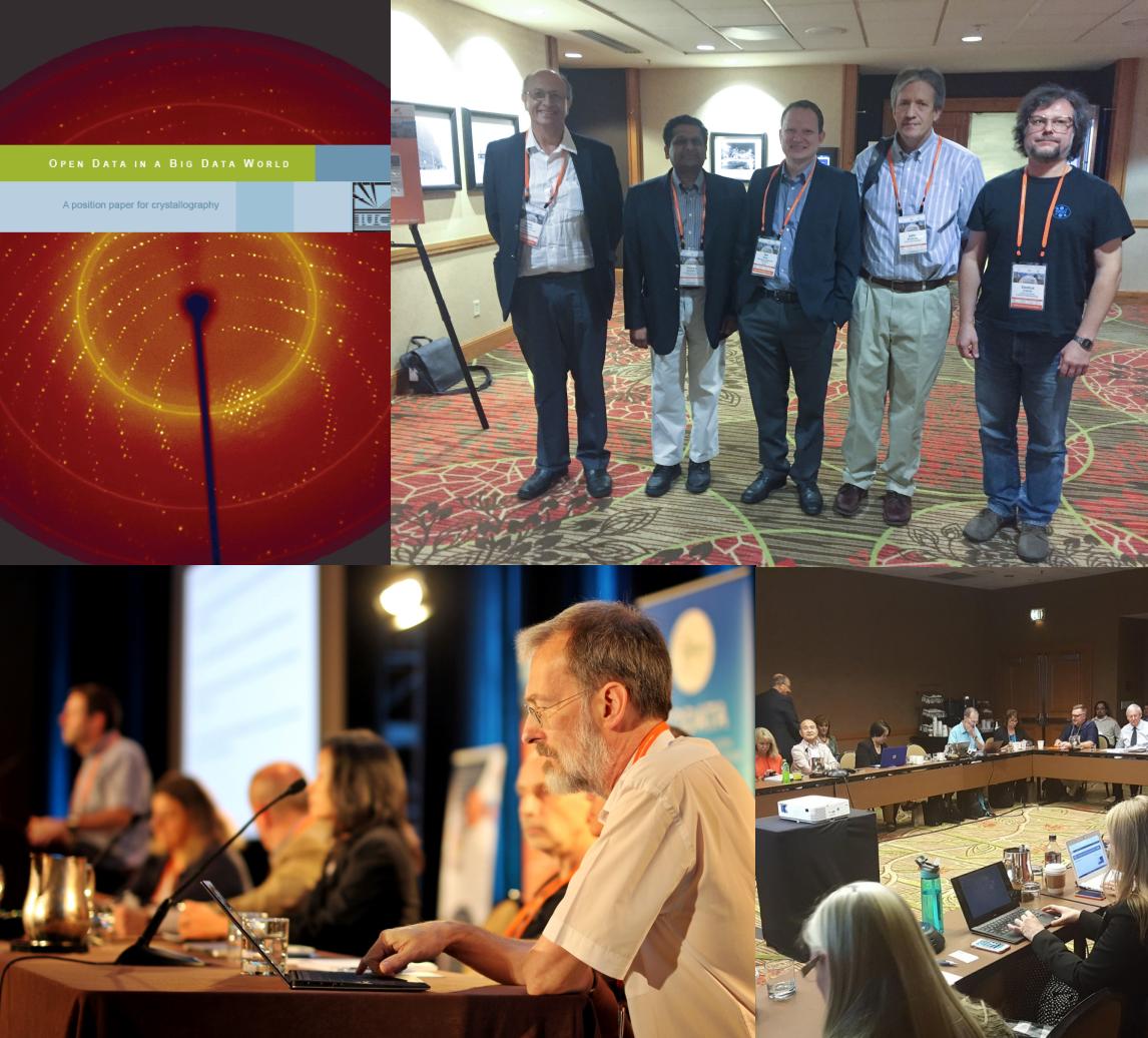 [images from International Data Week]